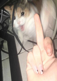 讨厌又怎么样,还不是要乖乖挨操(百合H)